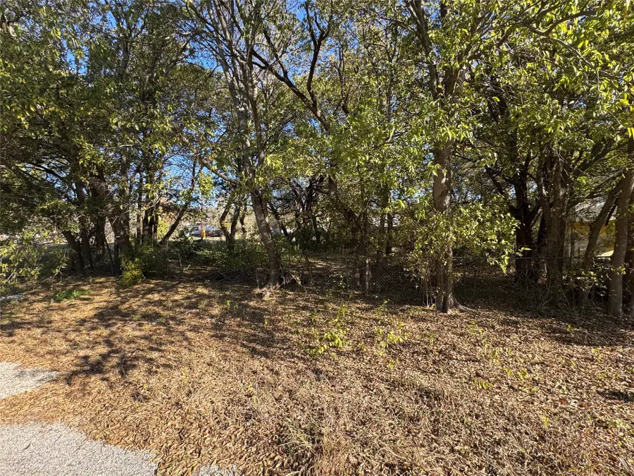 4203 Cree Trail, Granbury, TX 76048 - Image #2