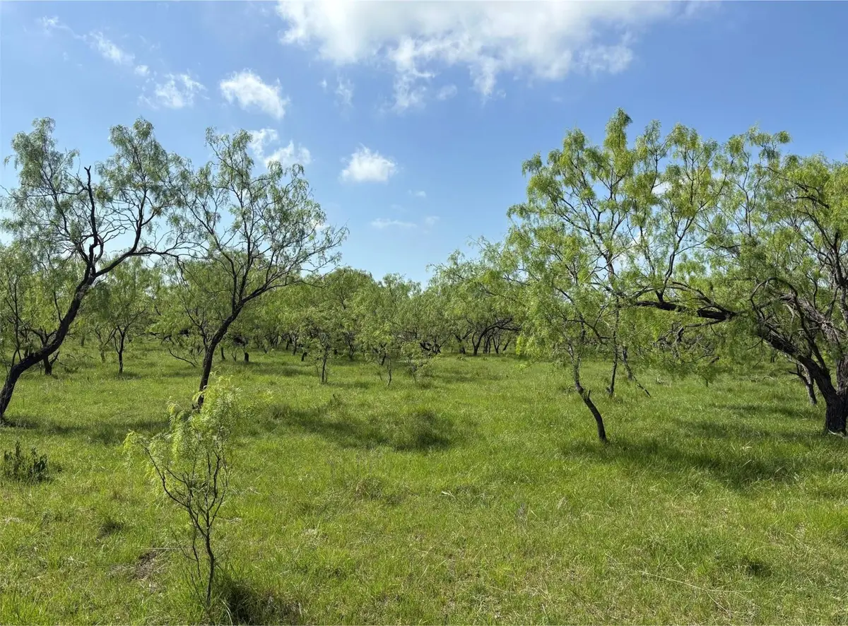 TBD 00 County Road 4160, Frost, TX 76641 - Image #1