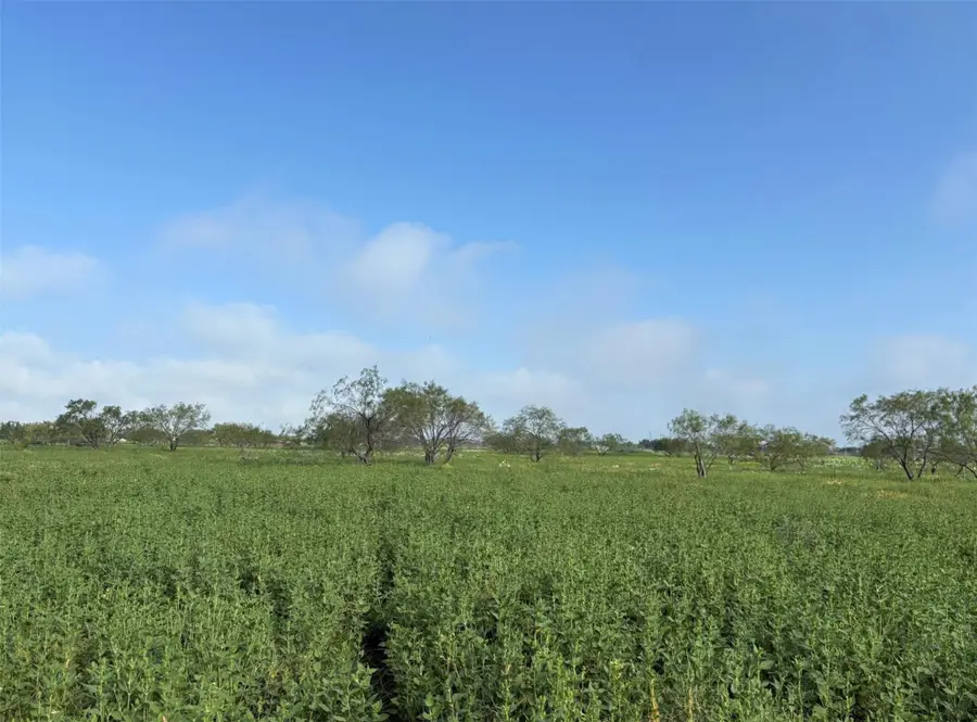 4363 Fm-1126, Corsicana, TX 75110 - Image #3