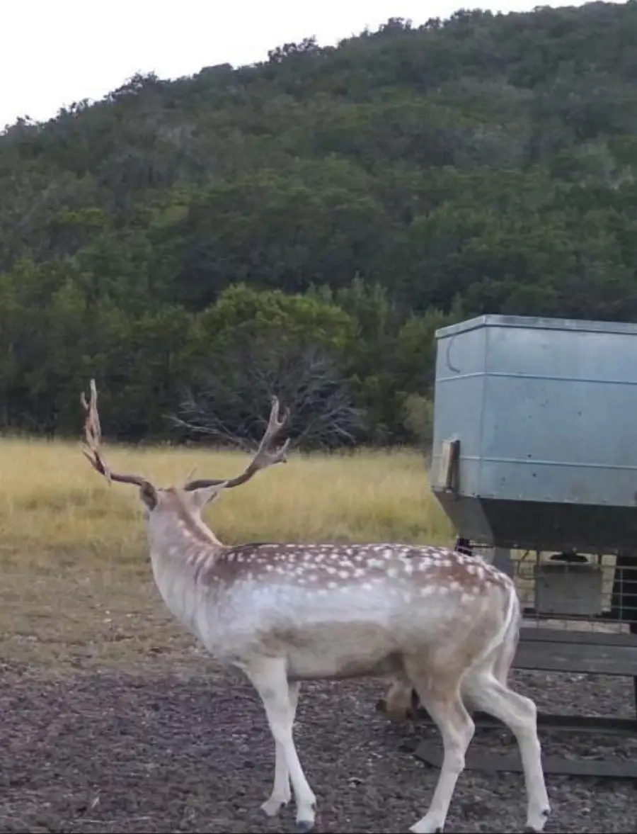 TBD Pr 2705, Uvalde, TX 78801 - Image #2