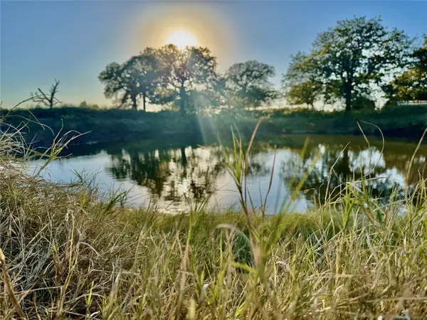 14114 Howard Lake Court, Lipan, TX 76462