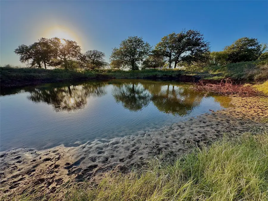 14114 Howard Lake Court, Lipan, TX 76462 - Image #2