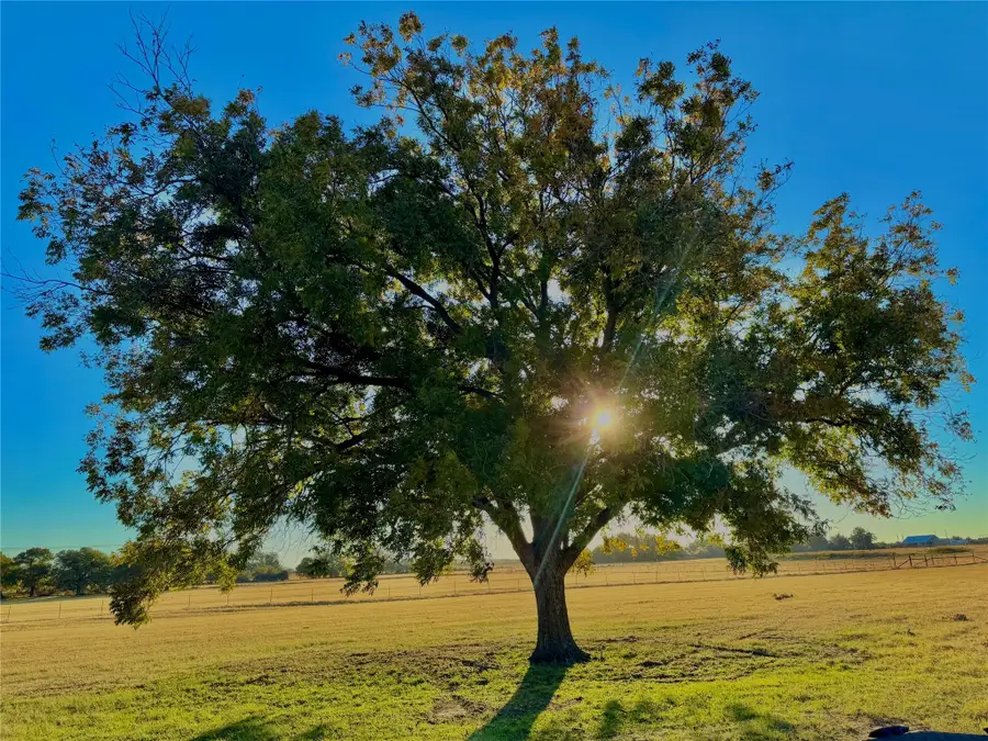 14114 Howard Lake Court, Lipan, TX 76462 - Image #3