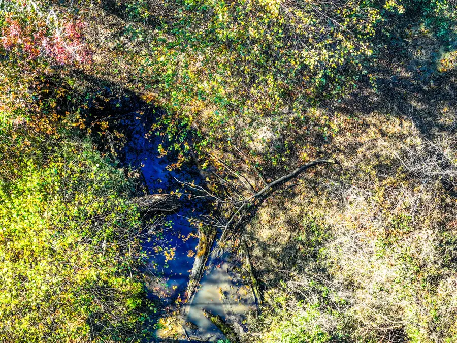 000 Cr 3310, De Kalb, TX 75559 - Image #2