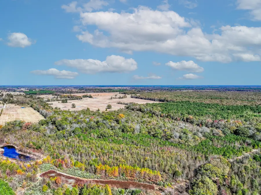 000 Cr 3310, De Kalb, TX 75559 - Image #3