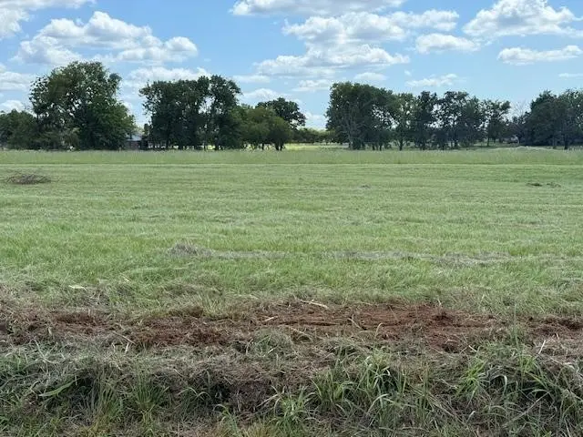 TBD Lot 5 Vz Cr 2702, Mabank, TX 75147 - Image #3