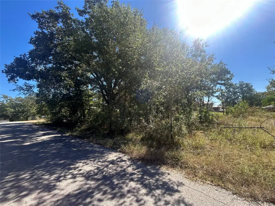 0 Bluebonnet Drive, Gun Barrel City, TX 75156 - Image #2