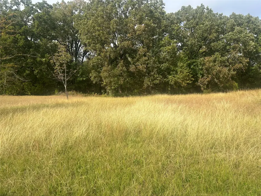 46 Kanakoa Drive, Tool, TX 75143 - Image #2