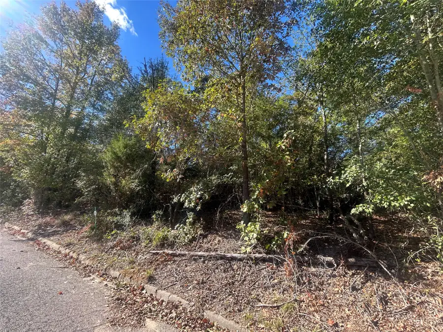 10 Bayshore Drive, Athens, TX 75752 - Image #2