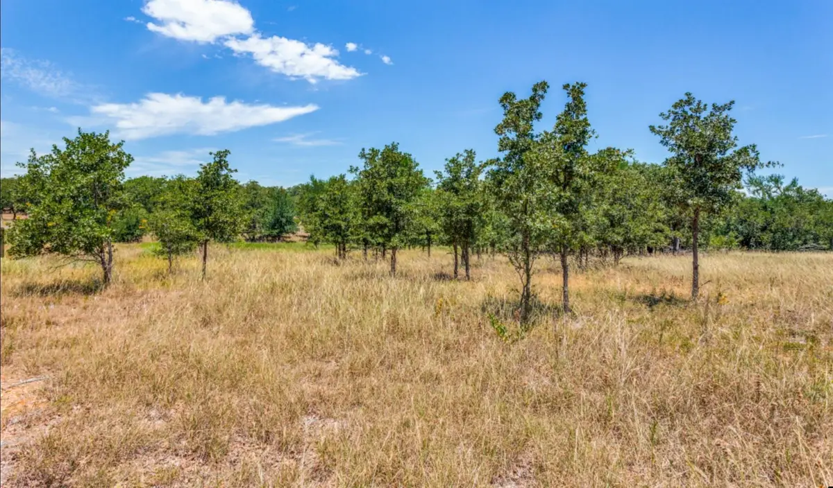 271 Creek Meadow Court, Lipan, TX 76462 - Image #1