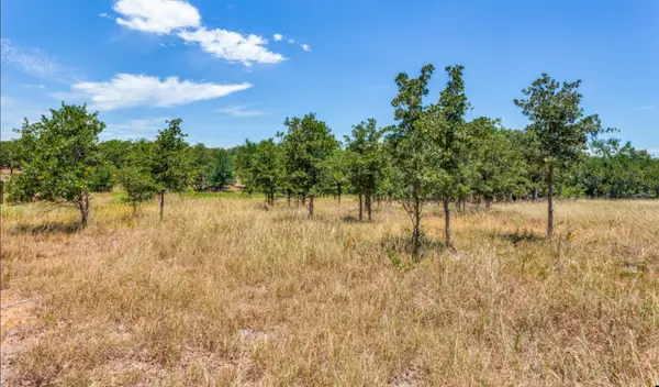 271 Creek Meadow Court, Lipan, TX 76462