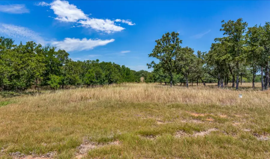 271 Creek Meadow Court, Lipan, TX 76462 - Image #3