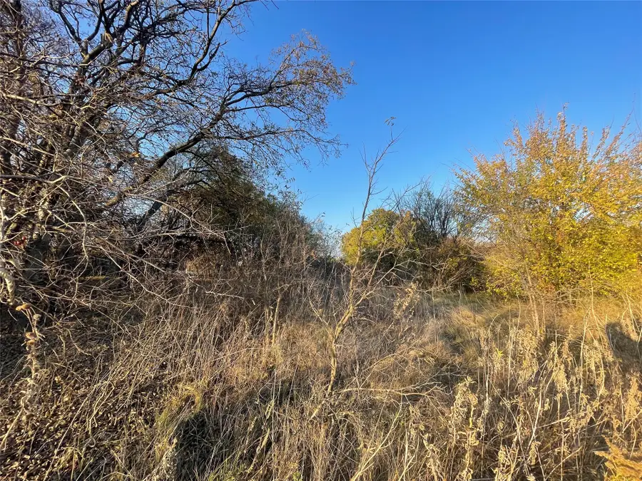 9632 Ronald Drive, Fort Worth, TX 76134 - Image #3