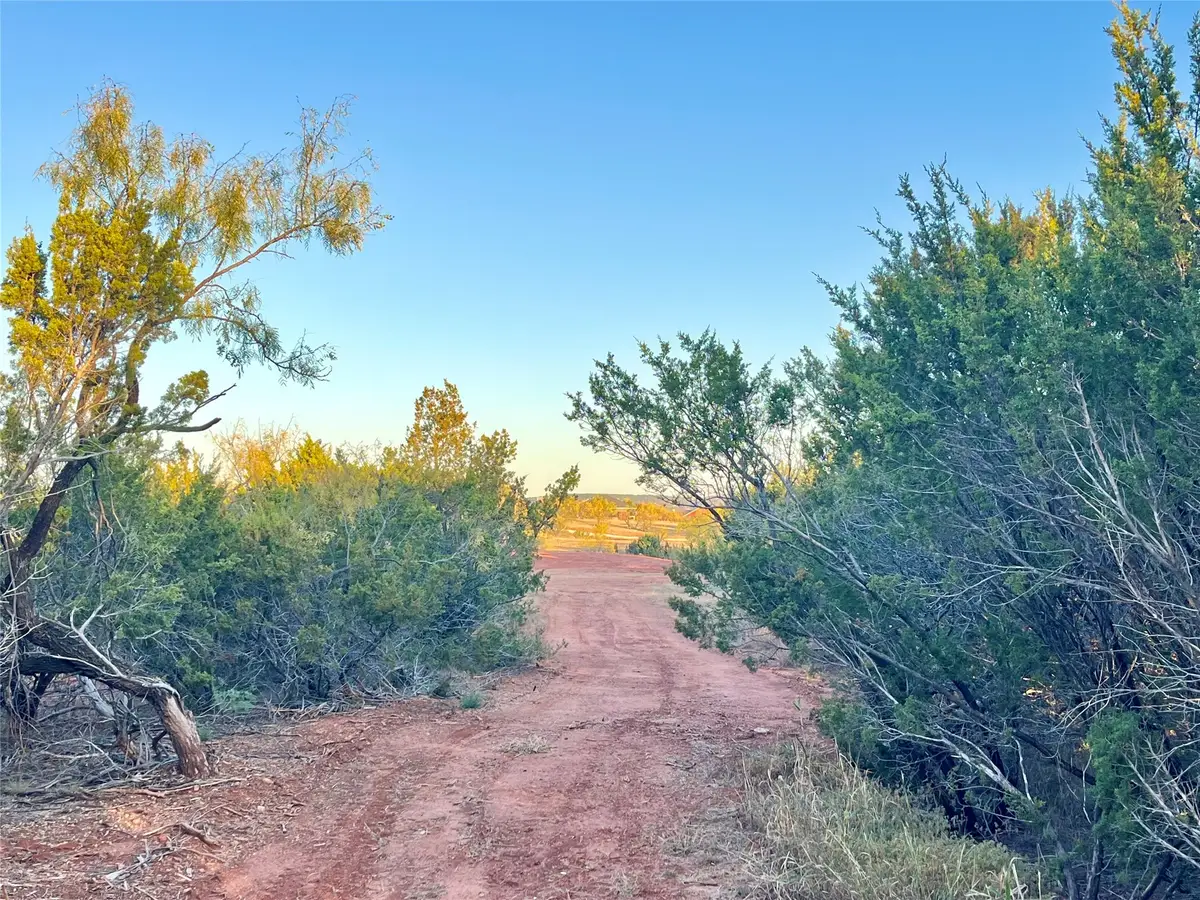 482 County Road 151, Tuscola, TX 79562 - Image #1