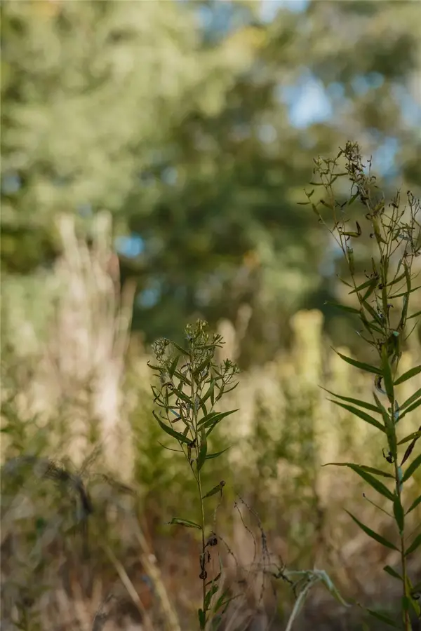 Lot 16 Private Road 5948, Yantis, TX 75497