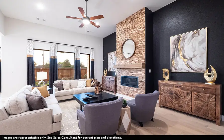 16725 Freshwater Drive, Celina, TX 75009 - Image #3