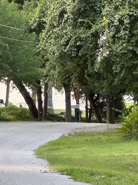 0 Wood Canyon Road, Tool, TX 75143 - Image #1