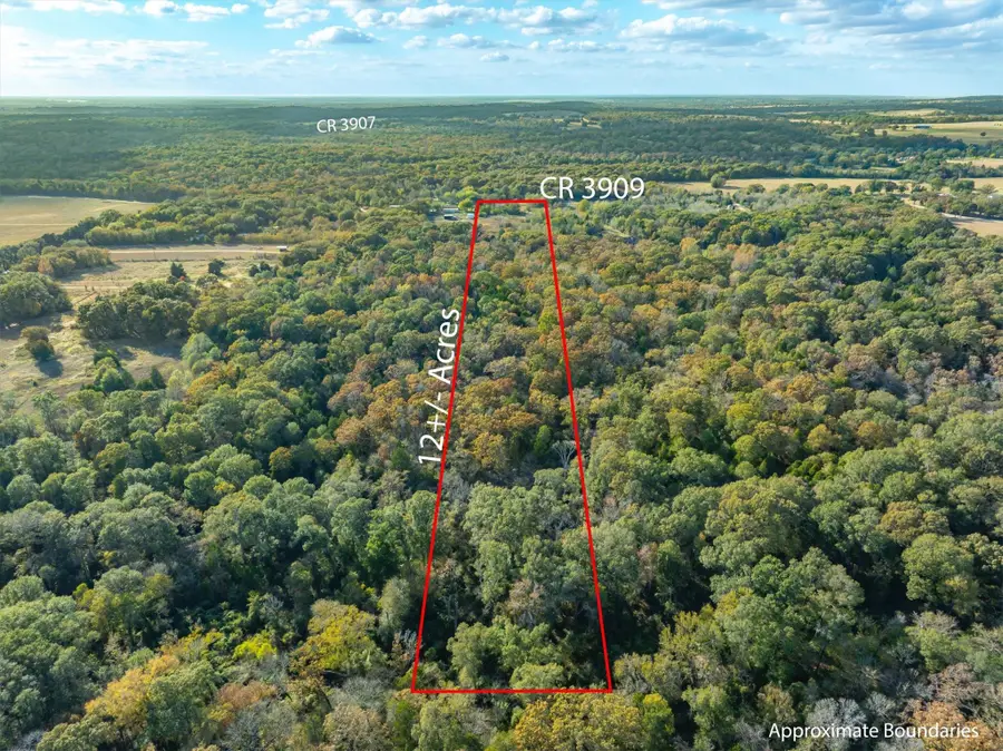 9722 County Road 3909, Athens, TX 75752 - Image #2