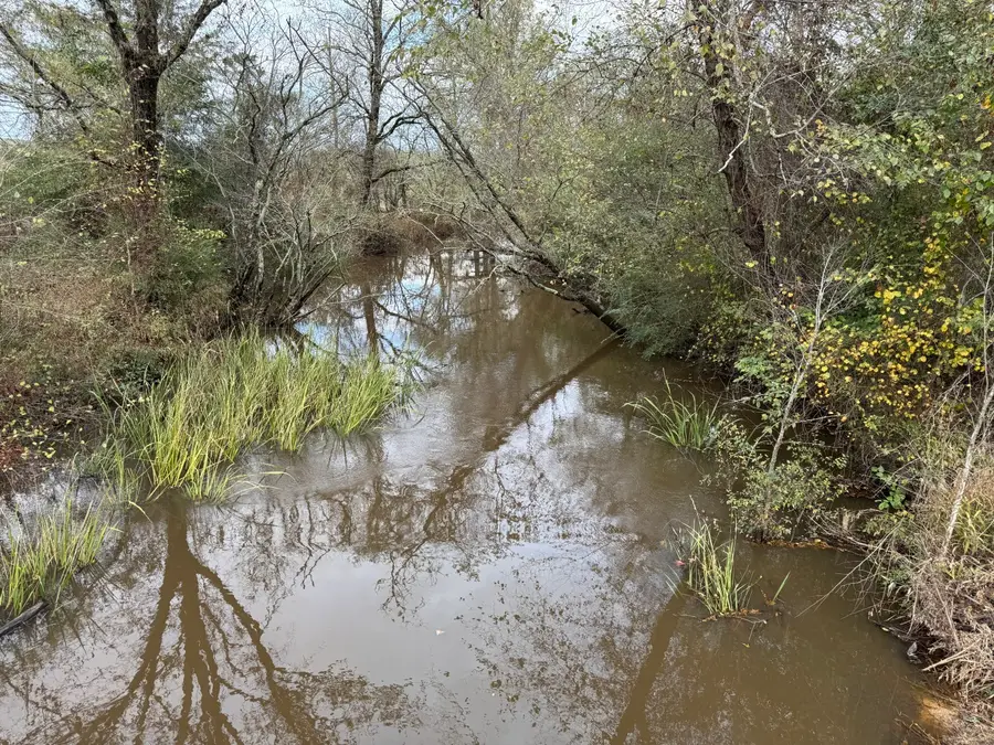 TBD Fm 1650, Gilmer, TX 75645 - Image #2