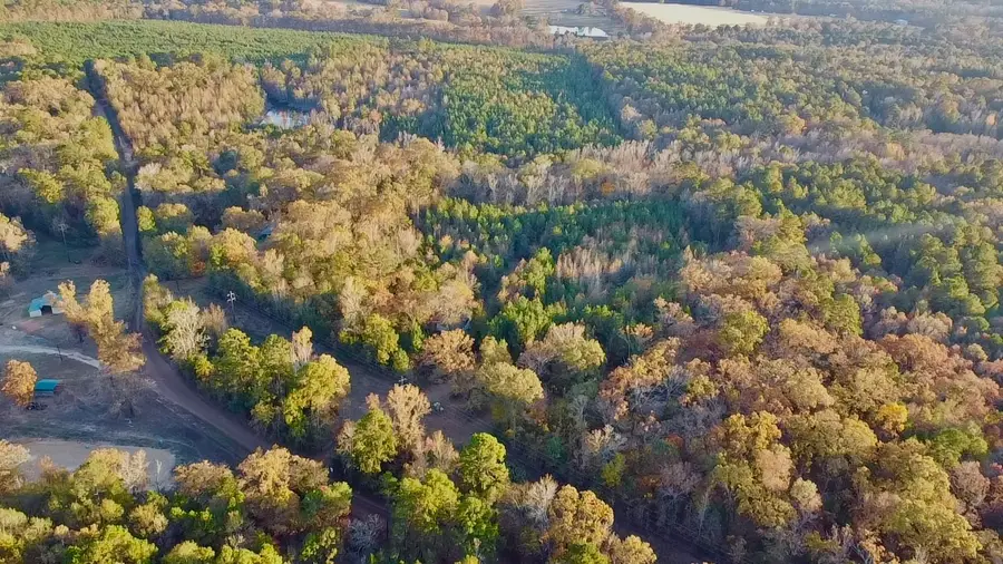 TBD Cactus Rd, Pittsburg, TX 75686 - Image #2