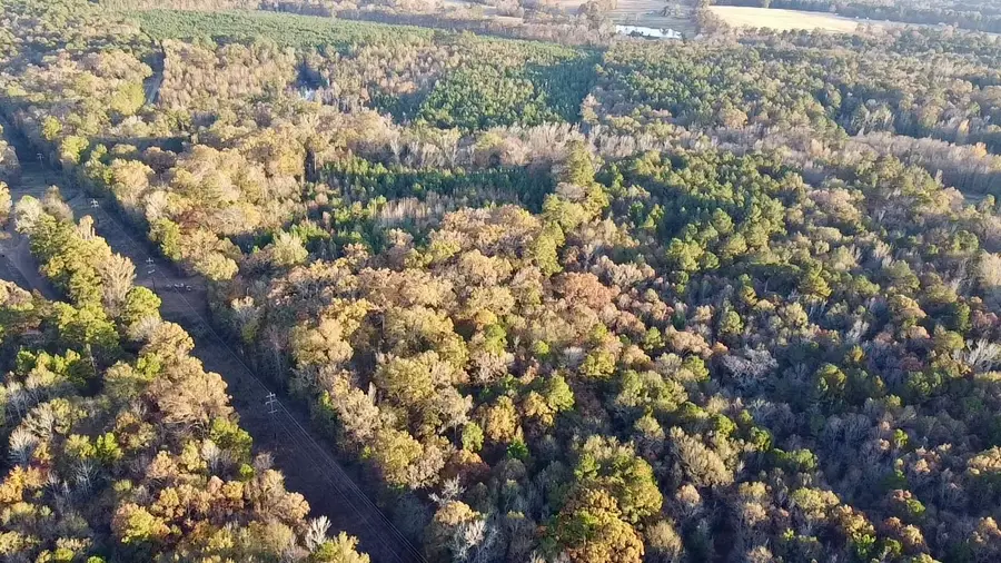 TBD Cactus Rd, Pittsburg, TX 75686 - Image #3