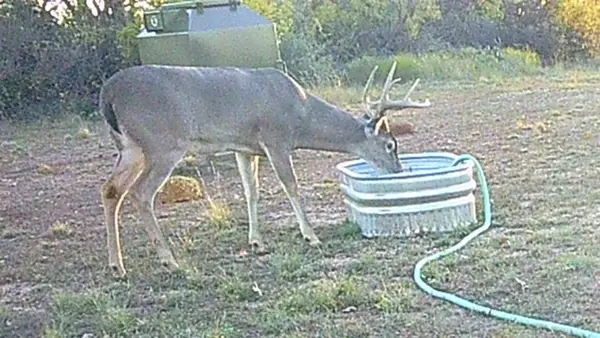 12014 B S Fm 600, Abilene, TX 79601