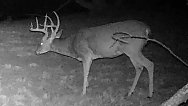 12014 A S Fm 600, Abilene, TX 79601