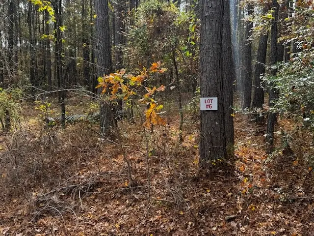 0 Oliver Road, Haughton, LA 71037 - Image #1