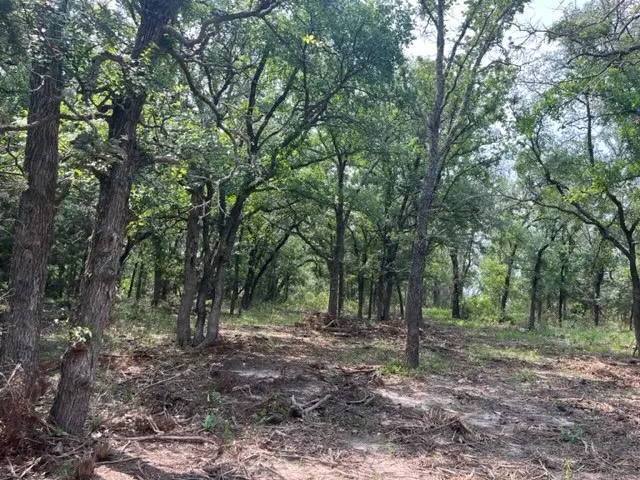 TBD Cr 295 Lot 3, Hico, TX 76457 - Image #3