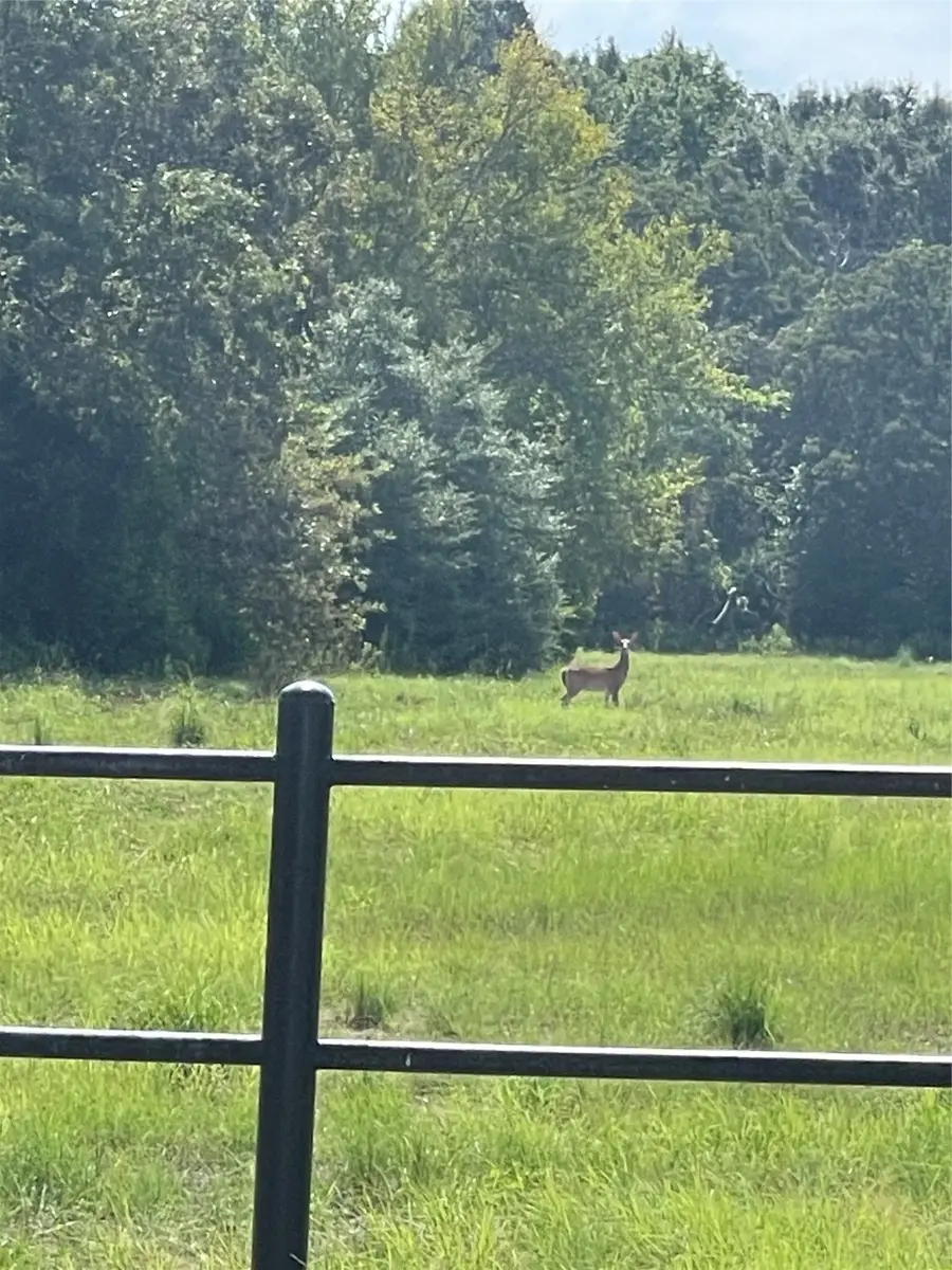 Tract 1 Us Hwy 175, Athens, TX 75752 - Image #2