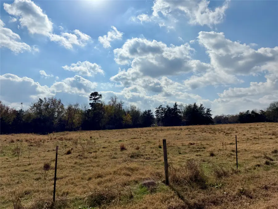 14 Acres County Road 3359, Saltillo, TX 75478 - Image #2