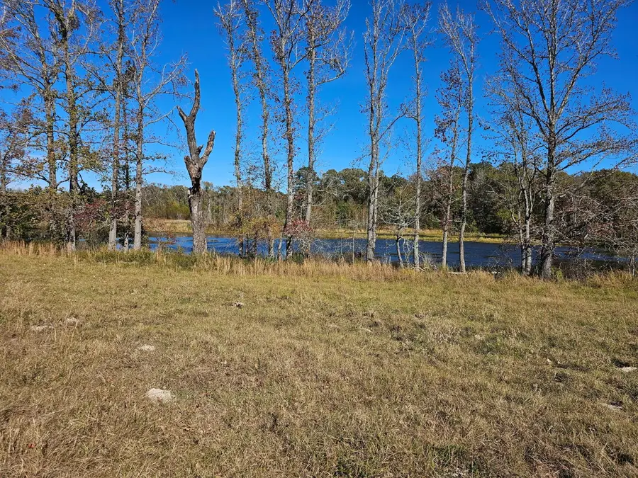 0 County Road 3513, Brownsboro, TX 75756 - Image #2