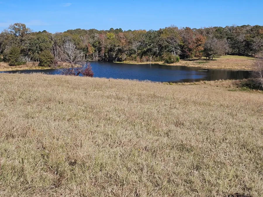 0 County Road 3513, Brownsboro, TX 75756 - Image #3