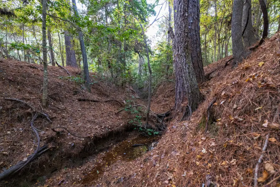 640 County Road 4910, Troup, TX 75789 - Image #3