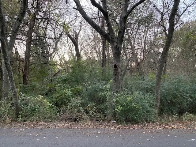 1207 Rita Lane, Duncanville, TX 75116 - Image #1