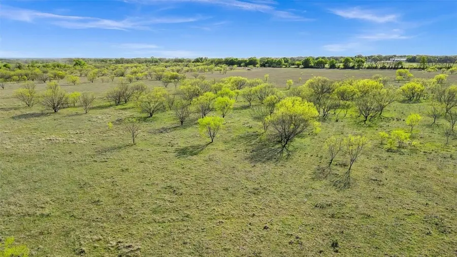 TBD County Road 572, Ranger, TX 76470 - Image #2
