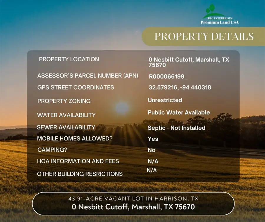 0 Nesbitt Cutoff Marshall, Marshall, TX 75670 - Image #2