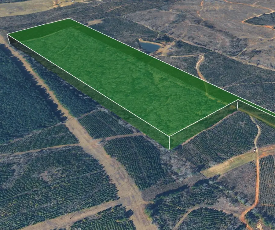 0 Nesbitt Cutoff Marshall, Marshall, TX 75670 - Image #3