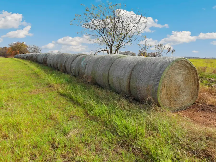 0 Buck Creek Road, Pilot Point, TX 76258 - Image #3