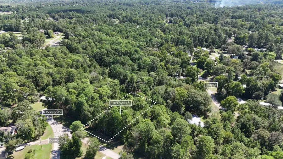 Lot 226 Canyon Drive, Onalaska, TX 77360 - #2