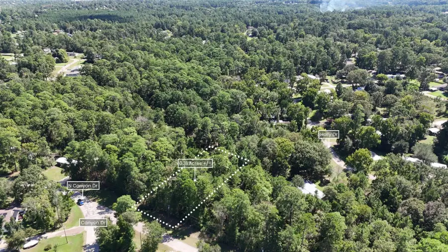 Lot 226 Canyon Drive, Onalaska, TX 77360 - #3