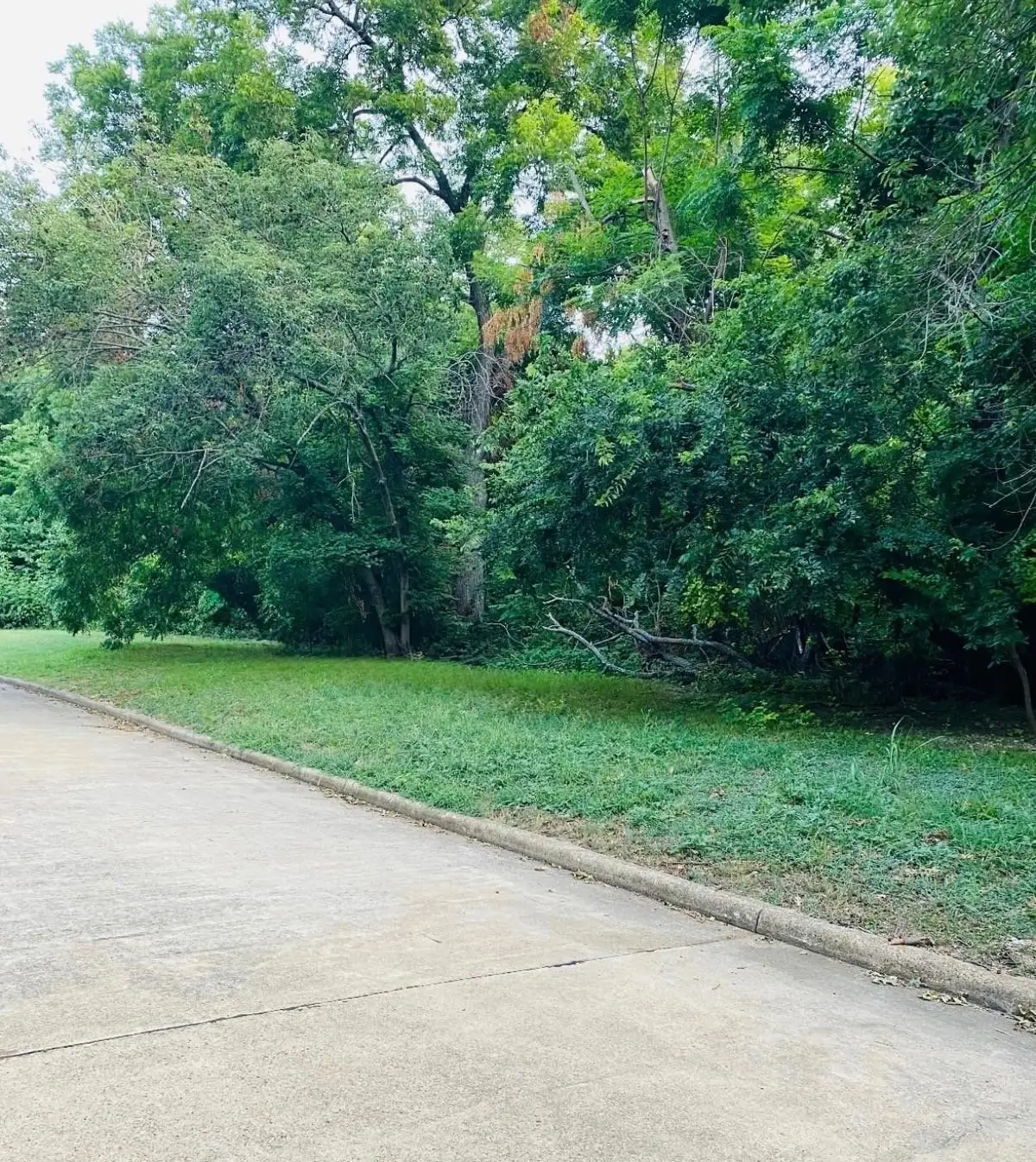 24 Sherwood Court, Cedar Hill, TX 75104 - Image #1