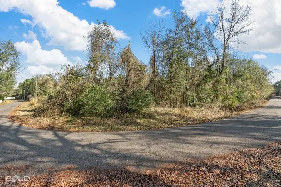Lot 5 Mockingbird Lane, Plain Dealing, LA 71064 - Image #2