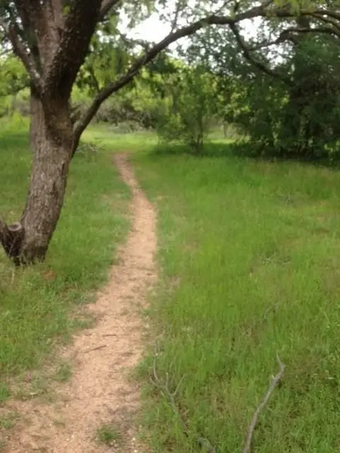 TBD S Cr 473, Ranger, TX 76470 - Image #1