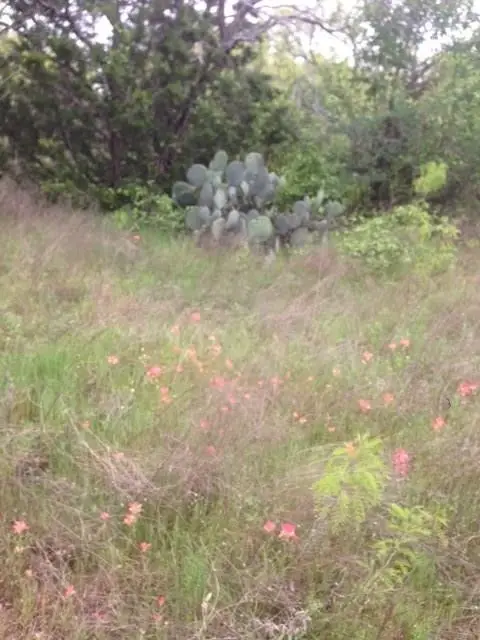 TBD S Cr 473, Ranger, TX 76470 - Image #2