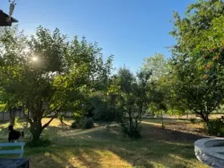 831 Cullins Road, Rockwall, TX 75032 - Image #2