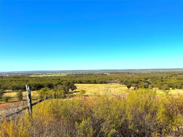 1849 Two Bush Road, Perrin, TX 76486