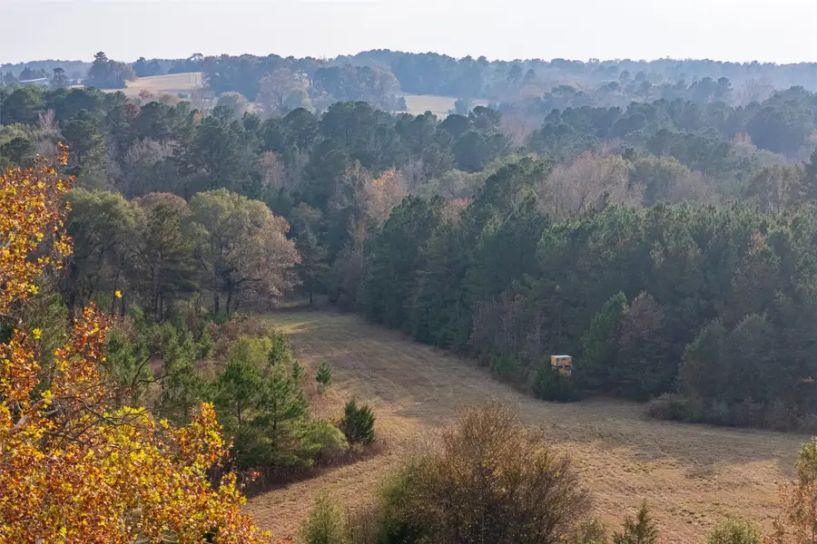 00 Farm To Market Road 228, Grapeland, TX 75844 - Image #2