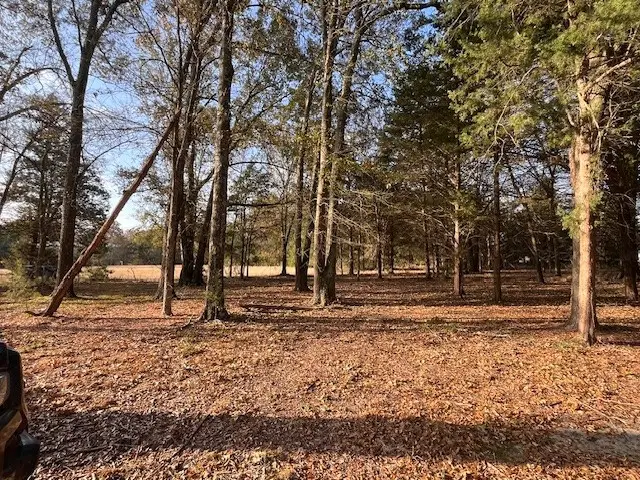 3111 Fm-38, Honey Grove, TX 75446 - Image #3