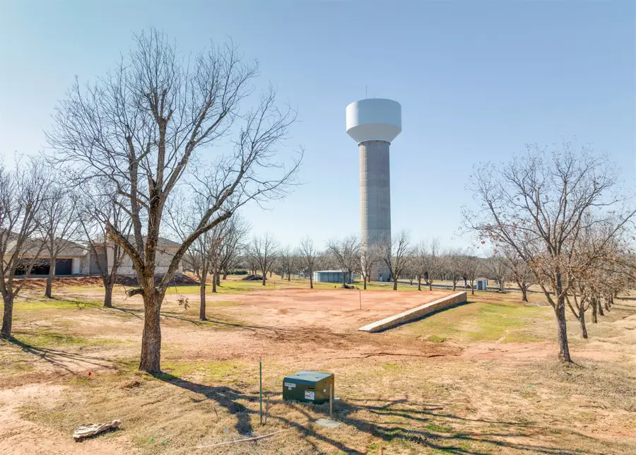 538 High Tower Lane, Granbury, TX 76049 - Image #2